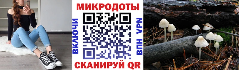 как найти закладки Козельск Псилоцибиновые грибы Cubensis